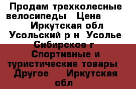 Продам трехколесные велосипеды › Цена ­ 1 000 - Иркутская обл., Усольский р-н, Усолье-Сибирское г. Спортивные и туристические товары » Другое   . Иркутская обл.